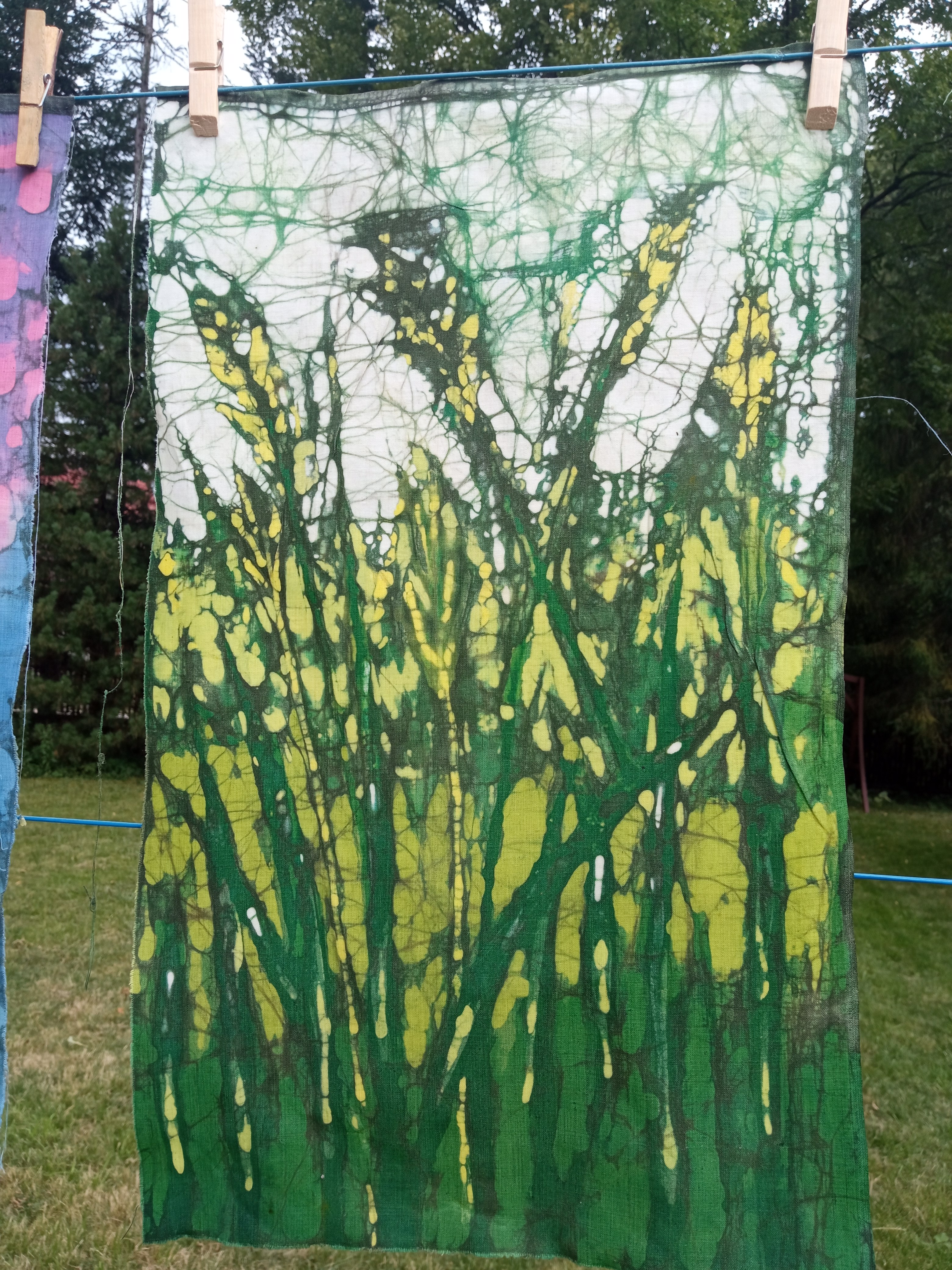 Batik Pod Jasieniami 2024