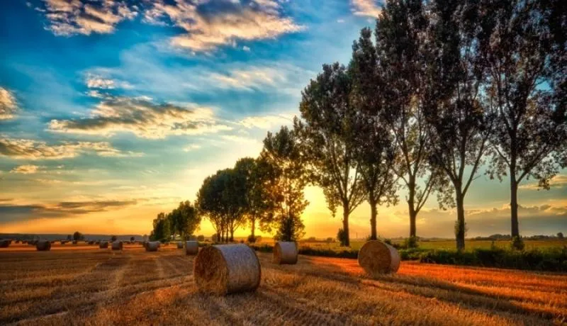 Kiedy są otwarte sklepy w sierpniu? Sprawdź godziny i dni pracy!